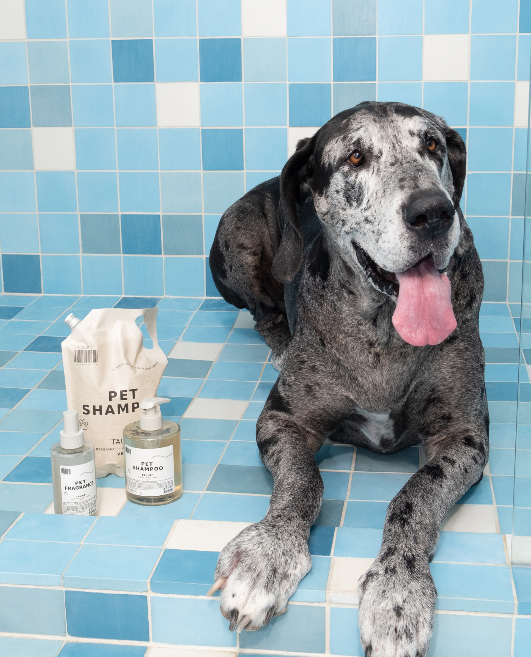 Pet Fragrance 01 "Taunt"