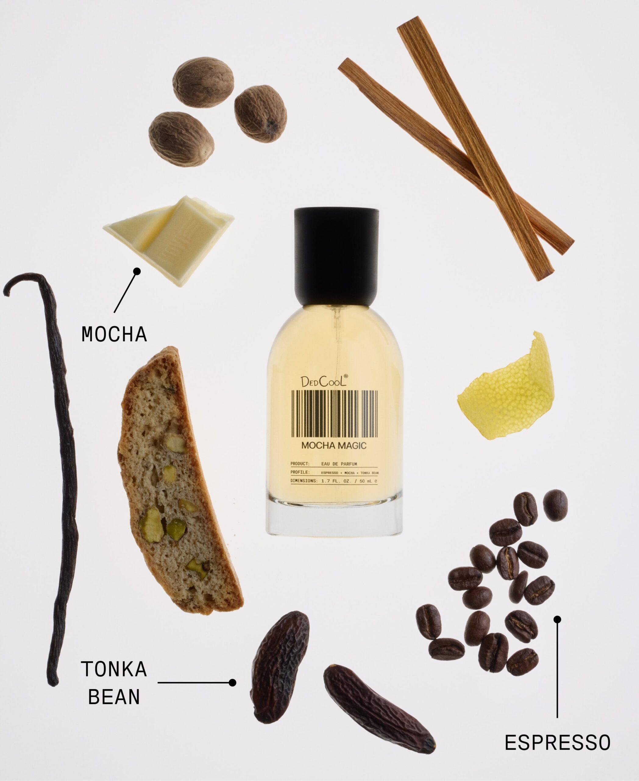 Mocha Magic Fragrance
