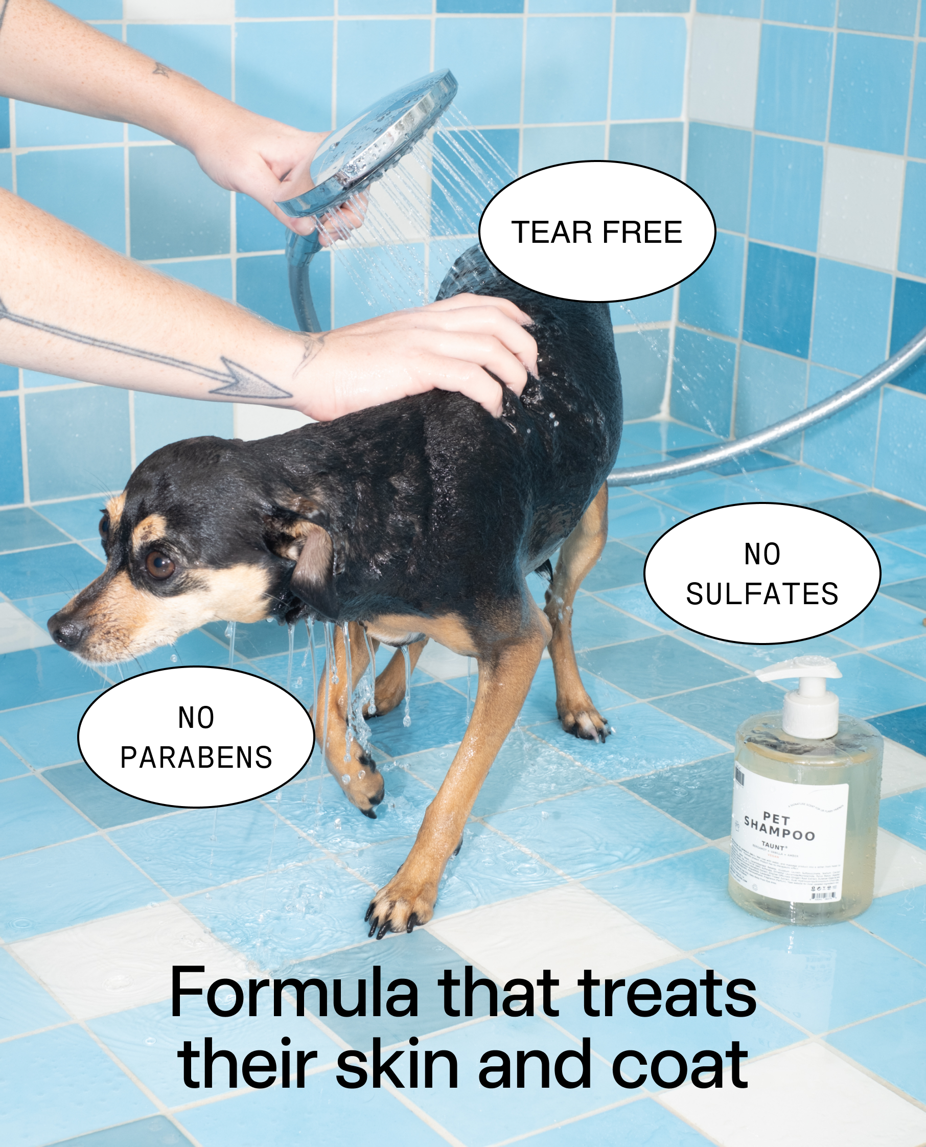Mini Pet Shampoo 01 "Taunt"